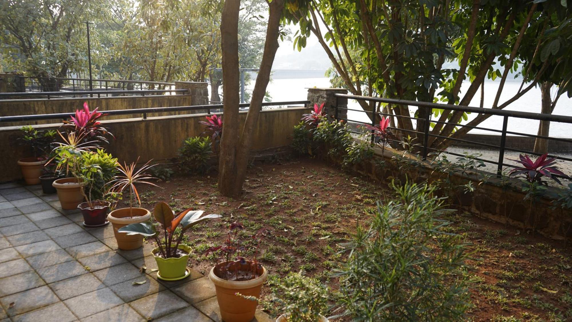 拉瓦萨市Portofino Treehouse公寓 外观 照片